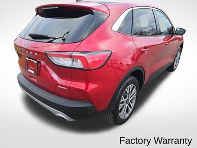 2022 Ford Escape SEL