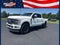 2023 Ford F-250 Platinum